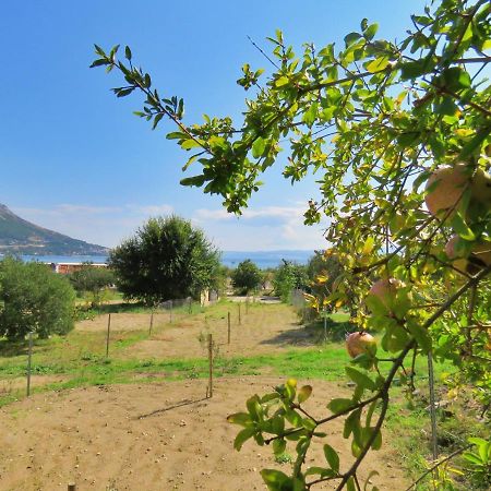 Seaside Apartment Omiš Exteriér fotografie